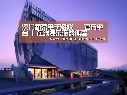 案例展示六
